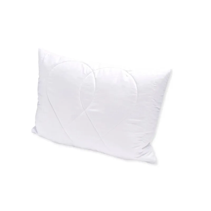 Brotex vankúš Aloe Vera zip 45x60