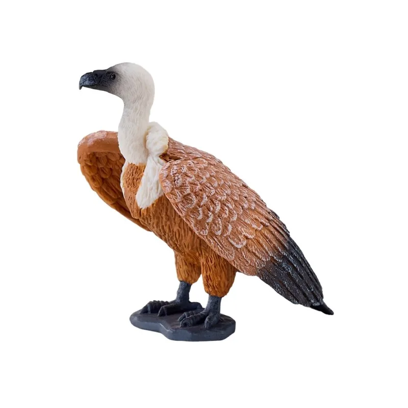 Mojo Sup bielohlavý hnedý