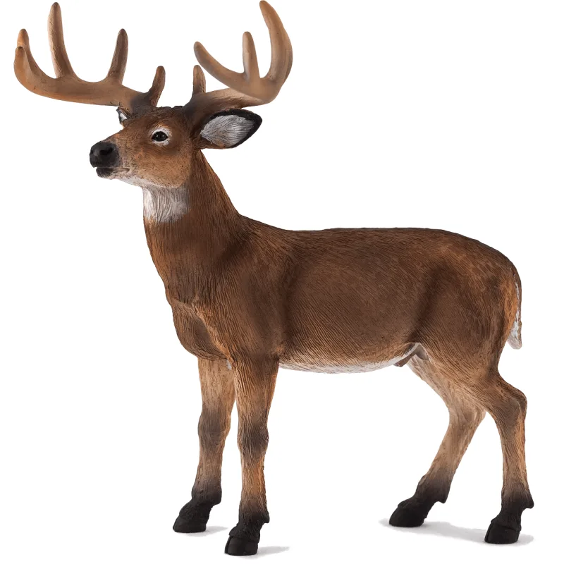 Mojo Jeleň bielochvostý