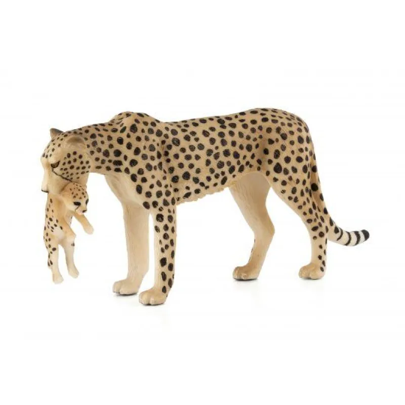 Mojo Gepard s mláďaťom