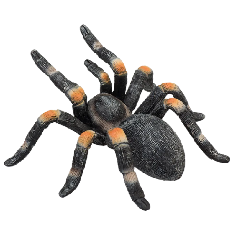 Mojo Sklípkan oranžovopruhý