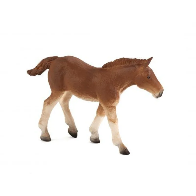 Mojo Suffolský kôň žriebä