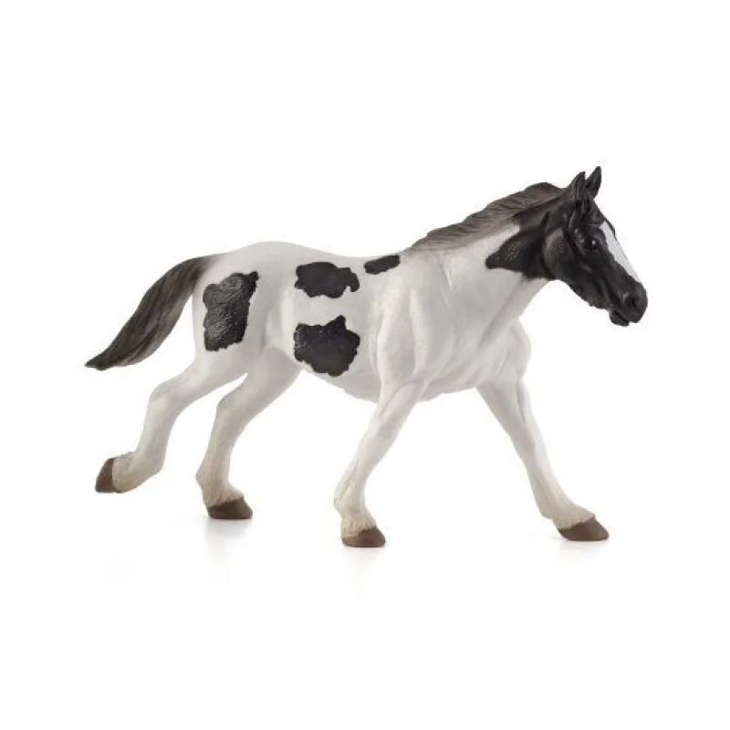 Mojo Kôň Tinker Yearling