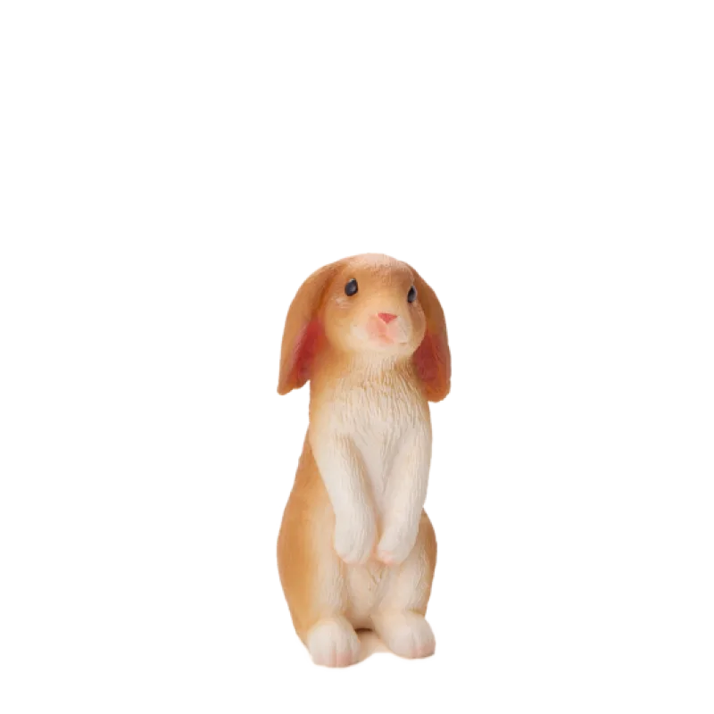 Mojo Králik sediaci