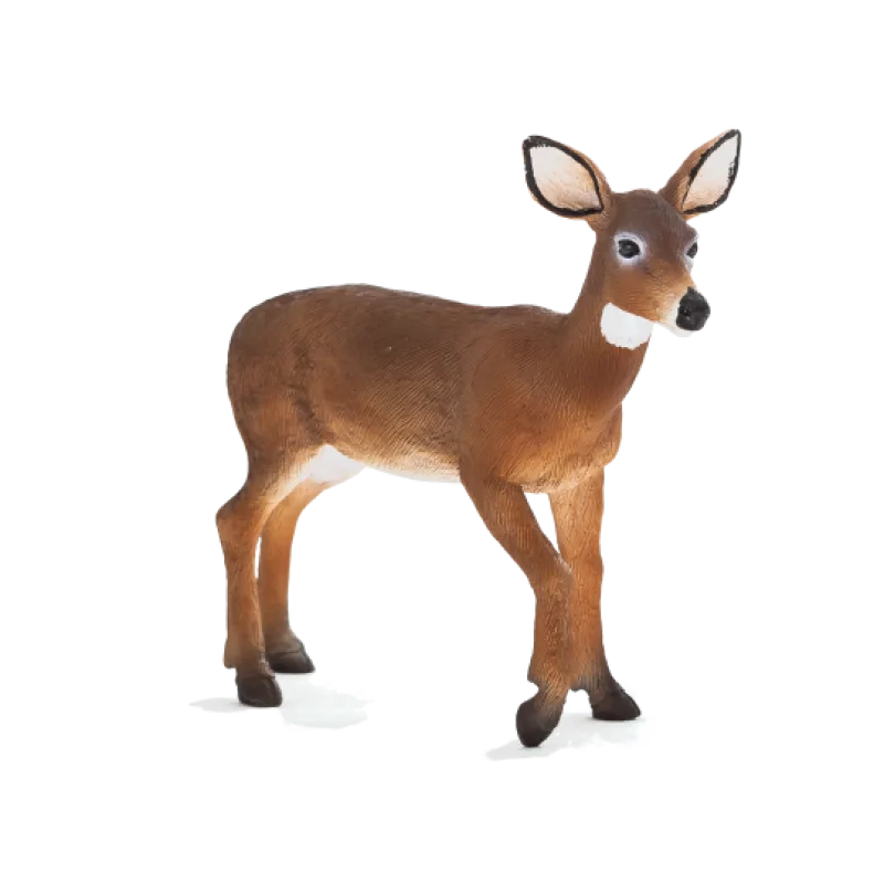 Mojo Laň jeleňa bielochvostého