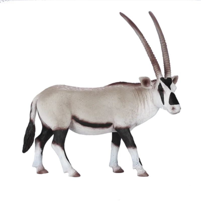 Mojo Oryx juhoafrický