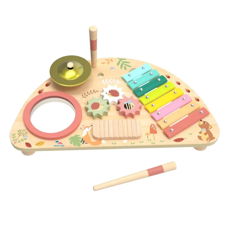 2Kids Toys Multifunkčná hudobná doska