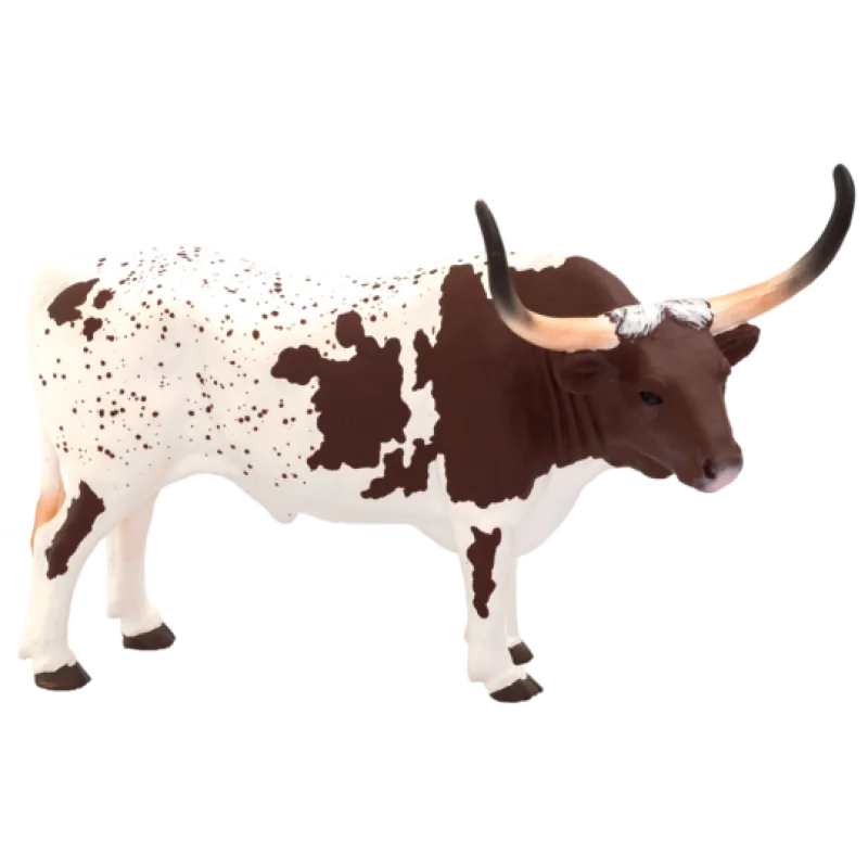 Mojo Texaský dlhorohý dobytok