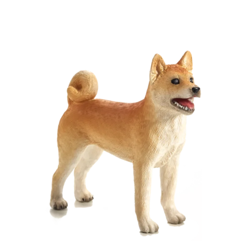 Mojo Pes Shiba Inu