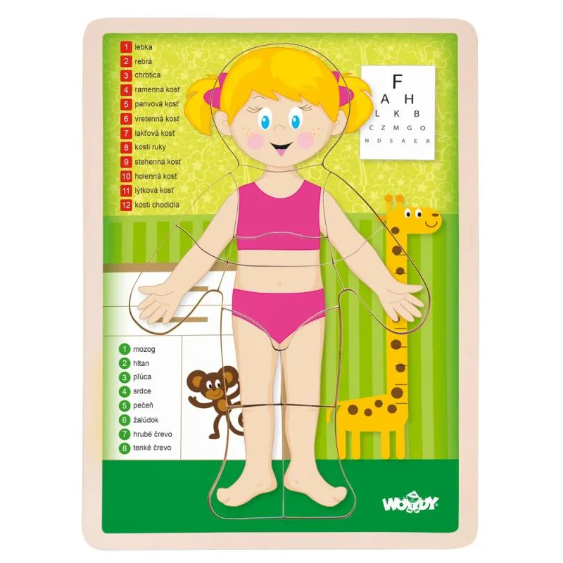 Woody Puzzle Ľudské telo Dievča SK