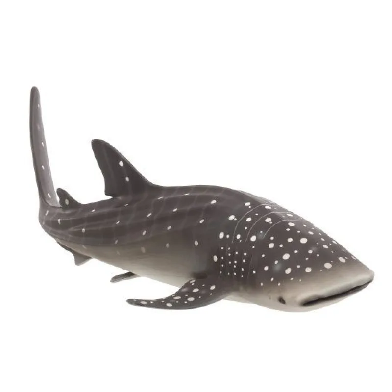 Mojo Žralok veľrybí