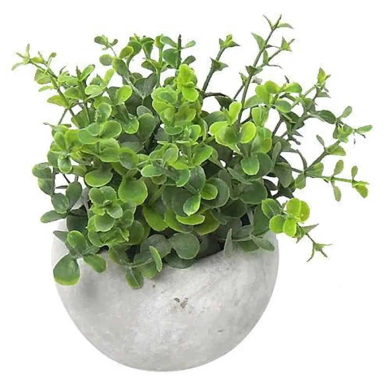 Oregano MagicHome, 15 cm, v cementovom črepníku, umelé