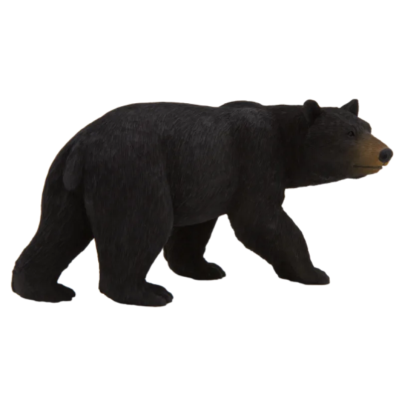 Mojo Medveď baribal