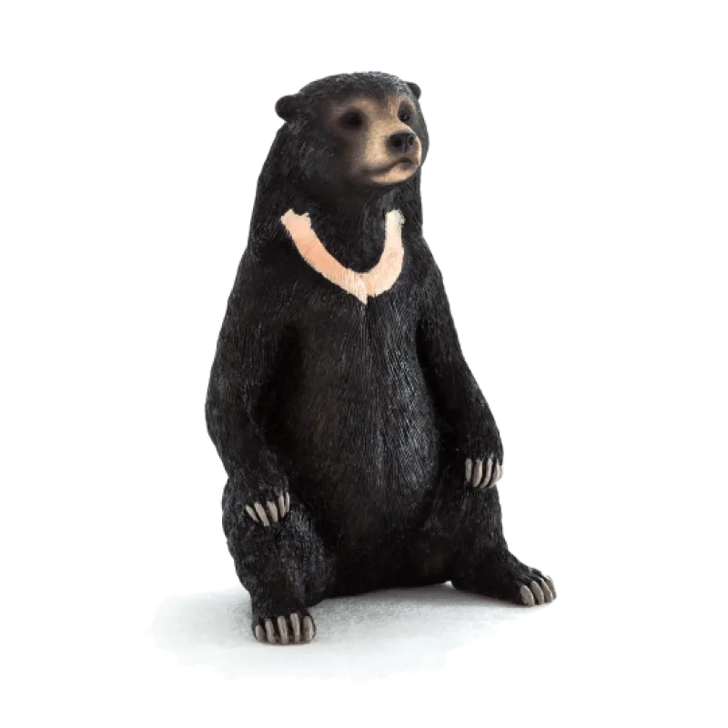 Mojo Medveď malajský