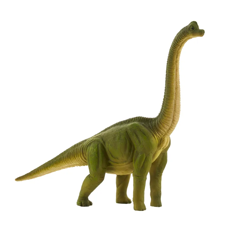 Mojo Brachiosaurus veľký