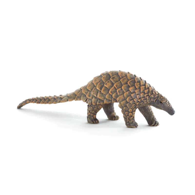 Mojo Šupinavec hrubochvostý