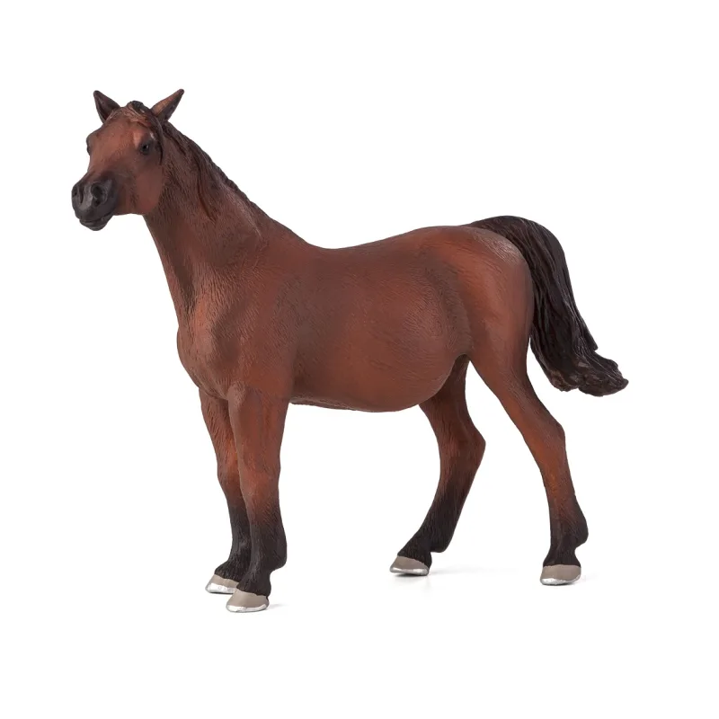 Mojo Arabská kobyla žrebná