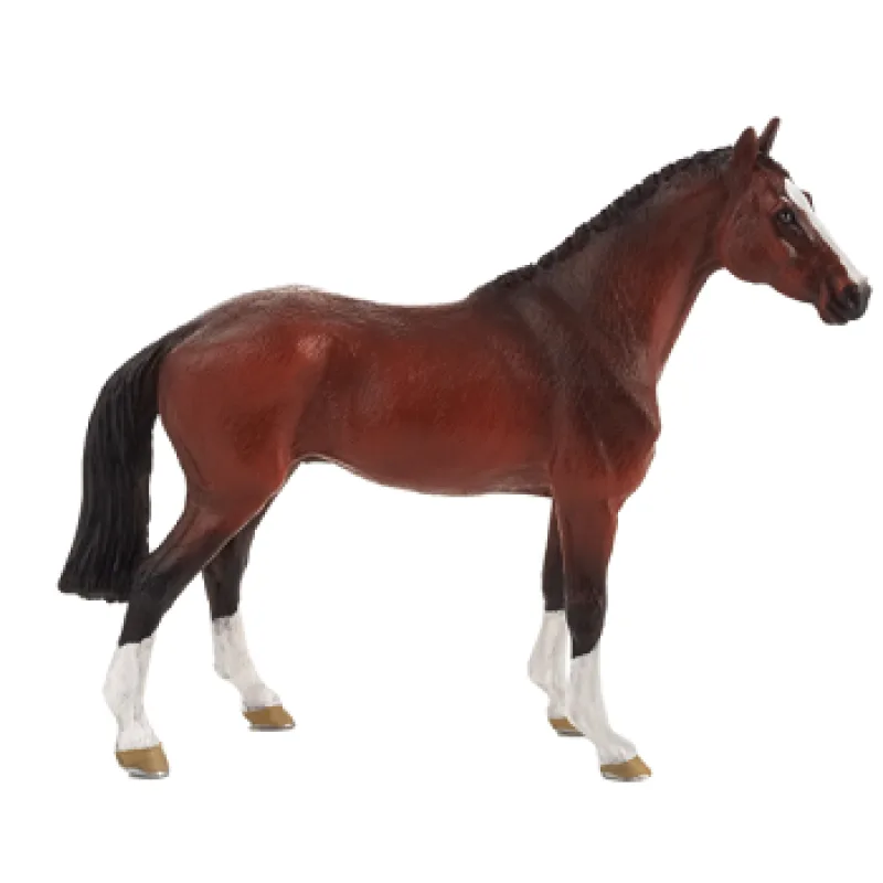 Mojo Holandský teplokrvník