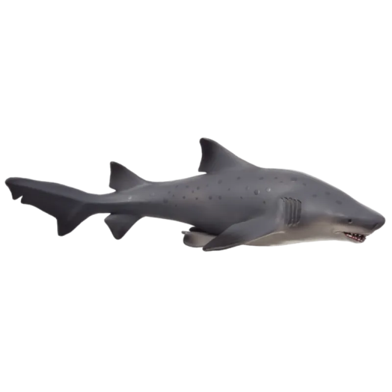 Mojo Žralok belavý veľký