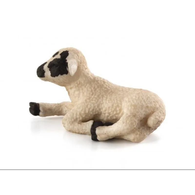 Mojo Jahňa Hampshire ležiace