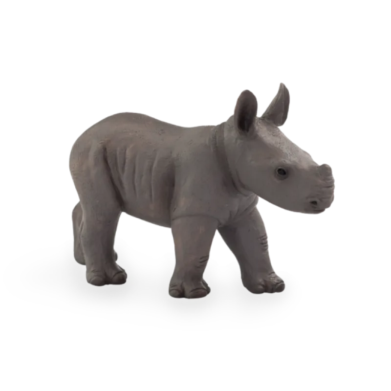 Mojo Nosorožec mláďa stojace