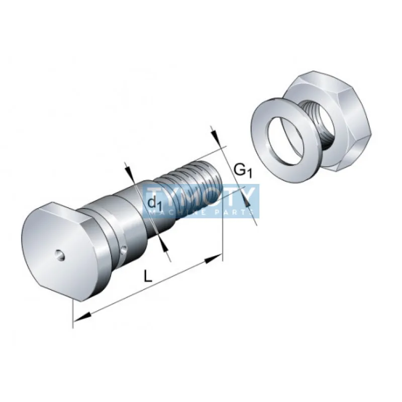 INA LFE 30-95 A1 excentrický čap kladky