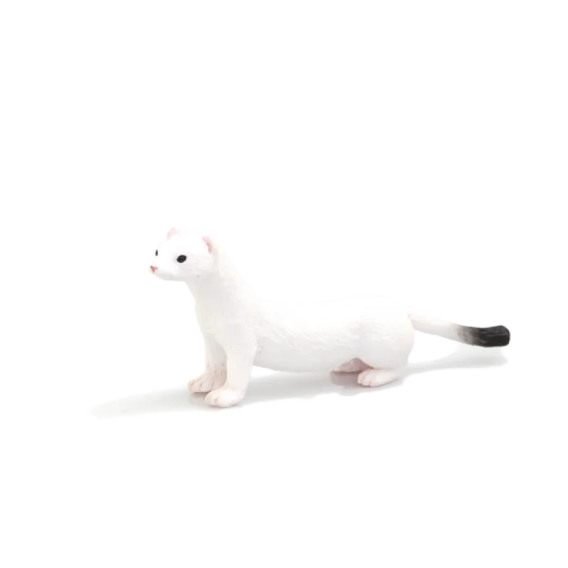 Mojo Lasica hranostaj, zimná srsť