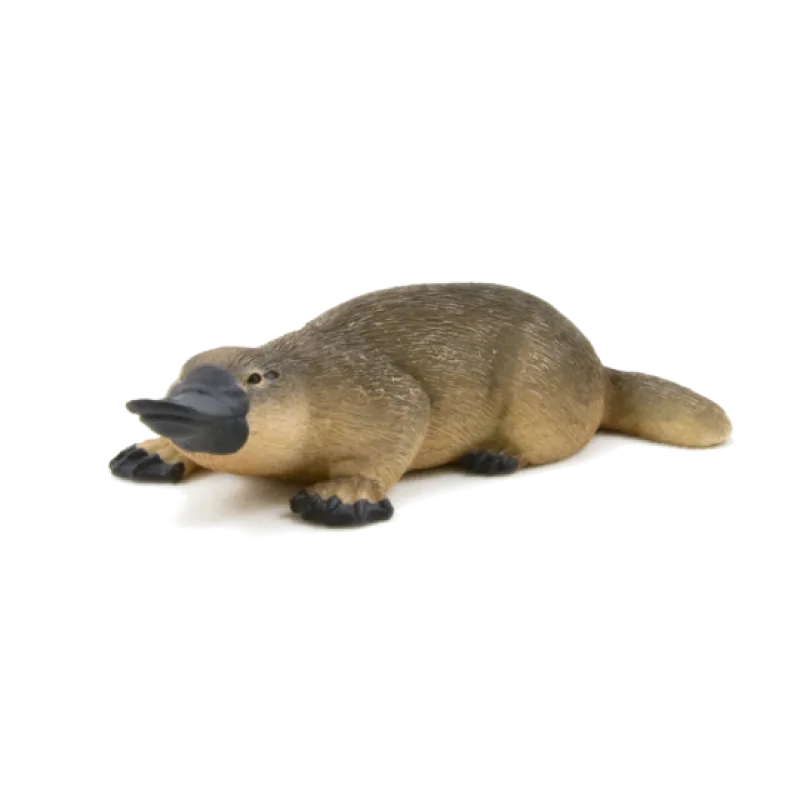 Mojo Vtákopysk podivný