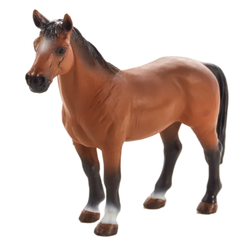 Mojo Trakénsky kôň