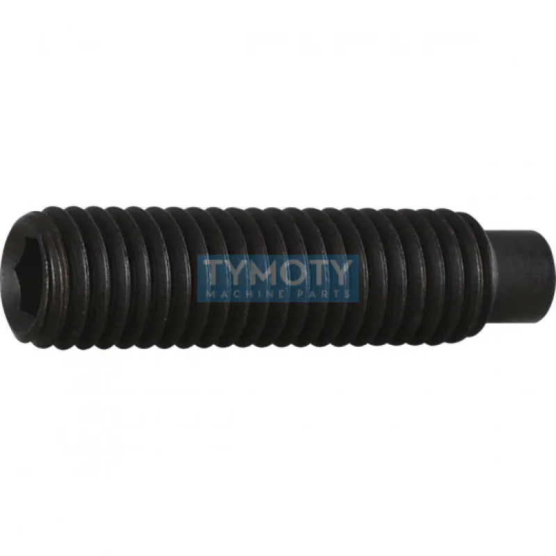 Skrutka stavacia s čapíkom-inbus DIN 915 M3x4