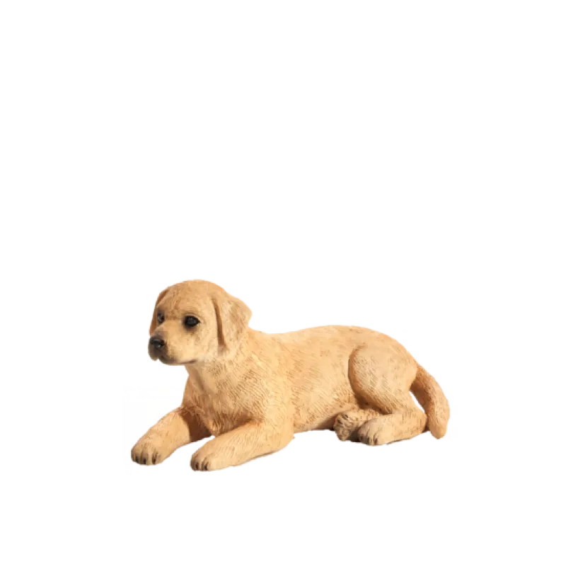 Mojo Labrador šteňa