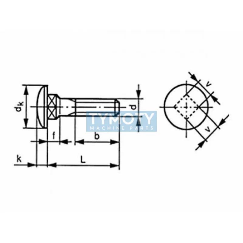 Skrutka vratová DIN 603 M6x120 nerez A2