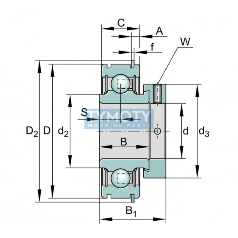 INA RAE 30-XL-NPP-NR