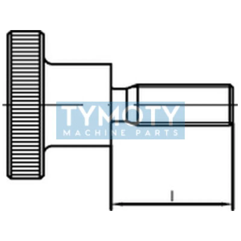Skrutka s valcovou ryhovanou hlavou DIN 464 M3x5