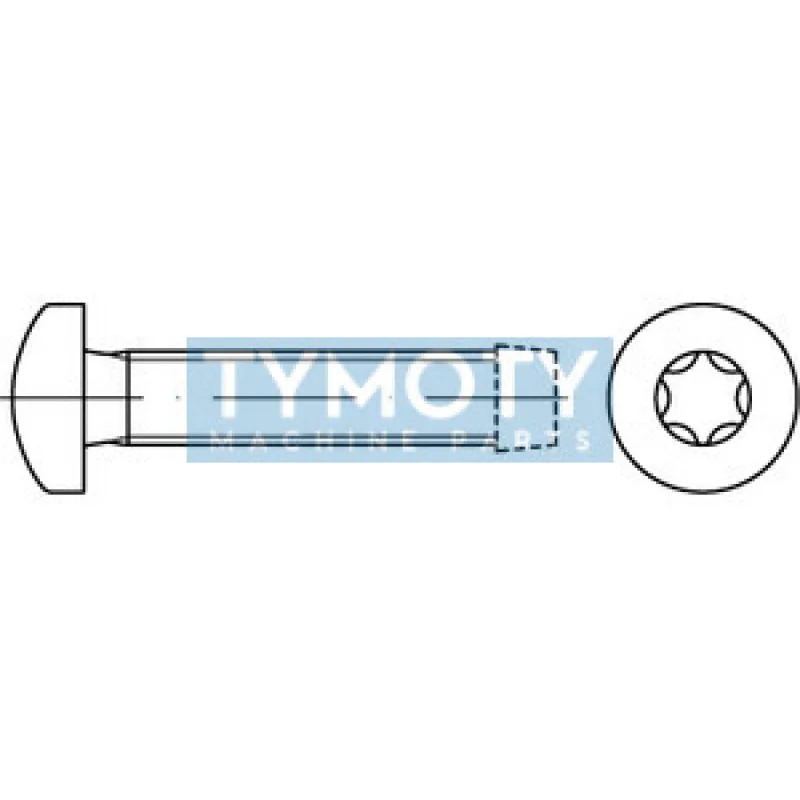 Skrutka závitotvorná TORX DIN 7500C M3x16 pozink