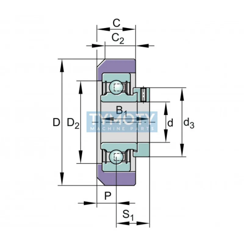 INA RCRA 20/46-XL-FA106