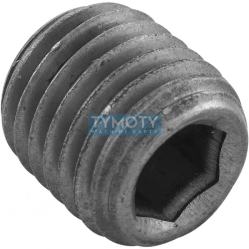 Zátka inbus DIN 906 M8x1,00