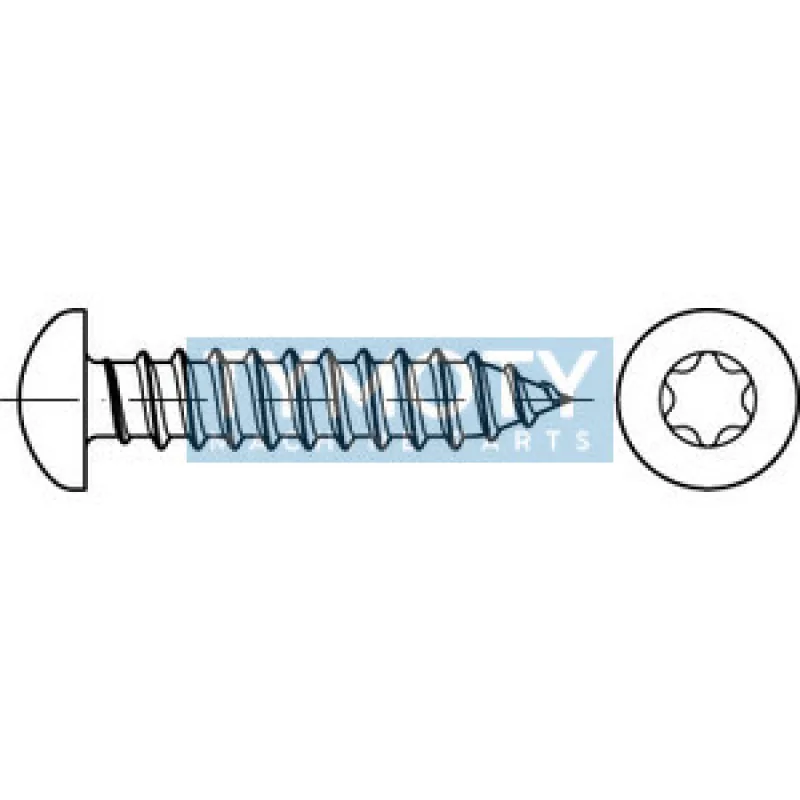 Skrutka samorezná TORX DIN 7981C 4,8x22 pozink