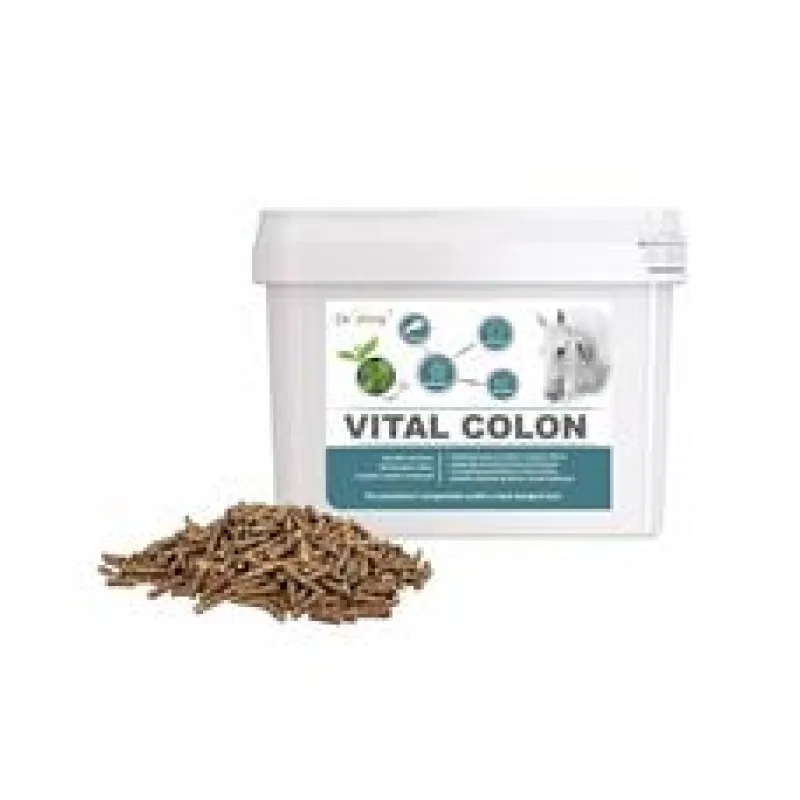 Dromy Vital Colon 3,3 kg