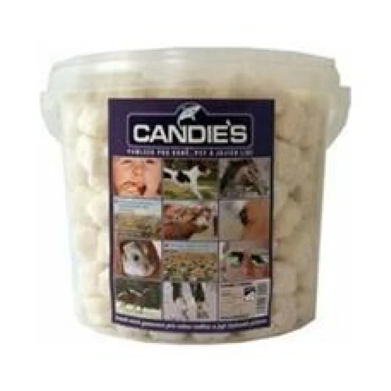 Candies pamlsek pro koně, psy a jejich lidi 500 g (6 l kyblík)
