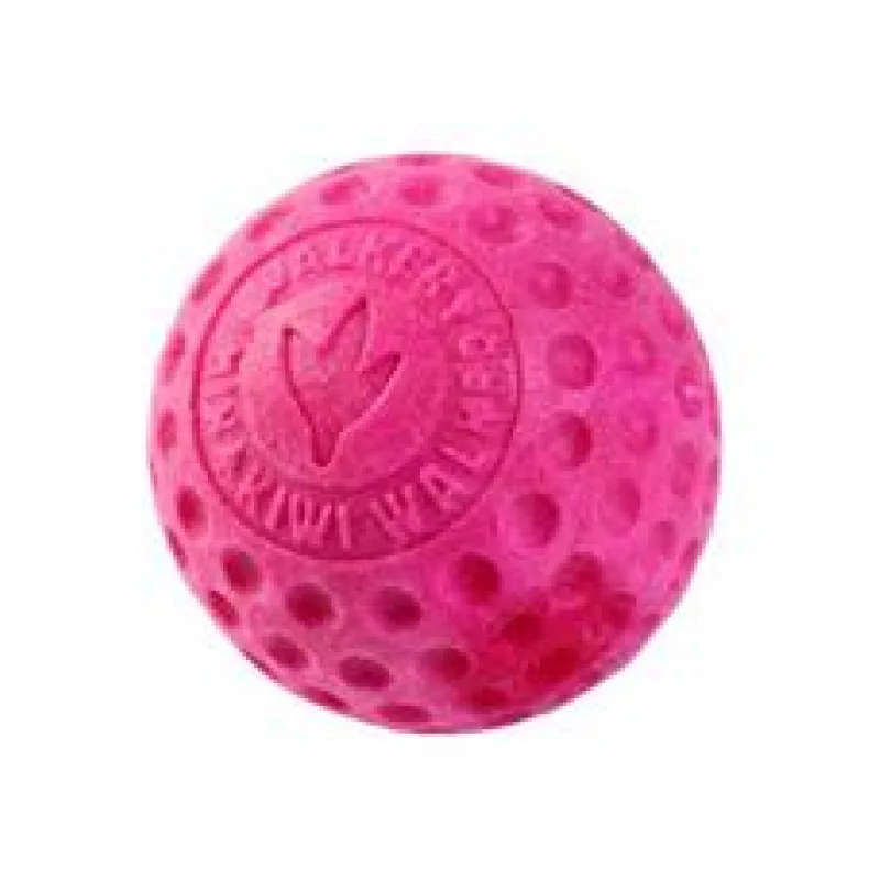 Hračka pes BALL MINI plov. z TPR pěny KW modrá