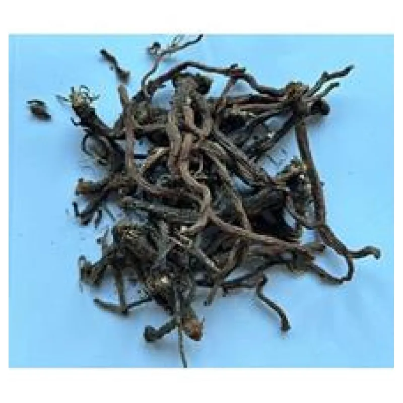 Dáme seno PAMPELIŠKA - celý kořen 60g