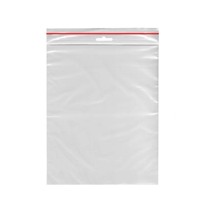 Rychlouzavírací sáčky s eurozávěsem 25 x 35 cm [1000 ks] (68925 - 8CHC)