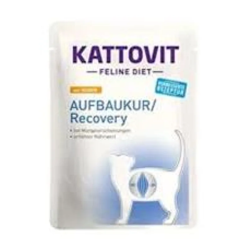 Kattovit Cat Recovery kuře kapsa 85g