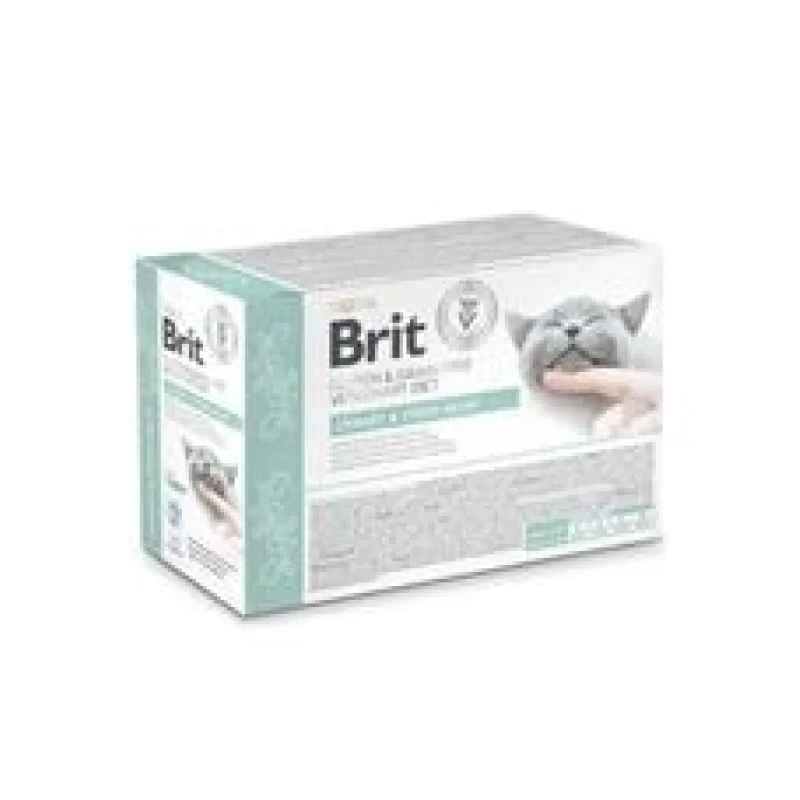 Brit VD Cat Pouch fillets in Gravy Urinary+Stres 12x85g