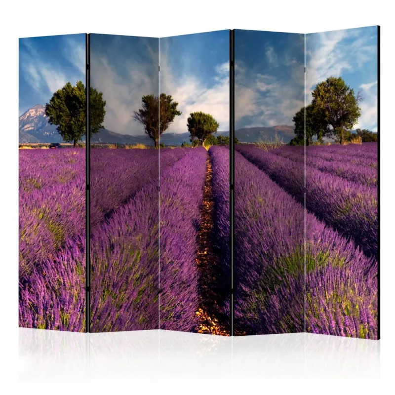 Artgeist Paraván - Lavender field in Provence, France [Room Dividers]
