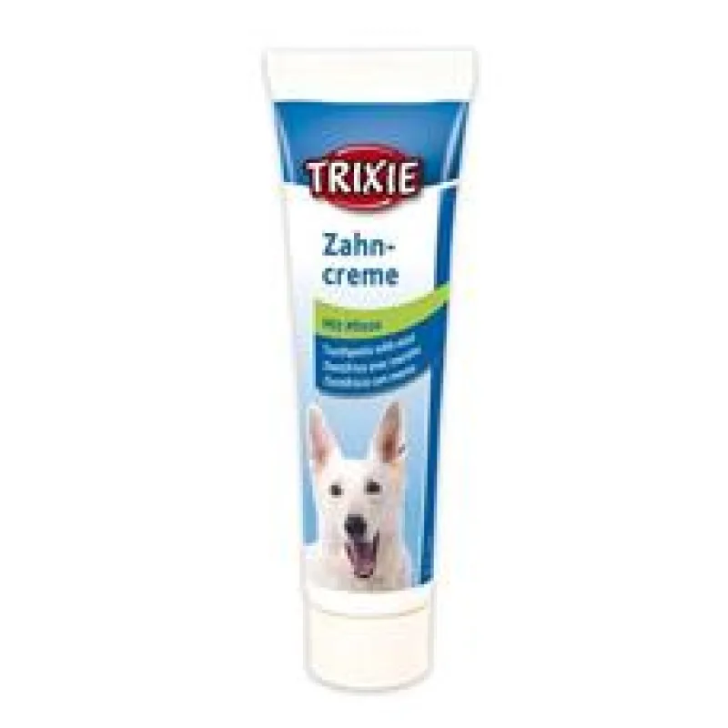 Zubní pasta s mátou 100 g