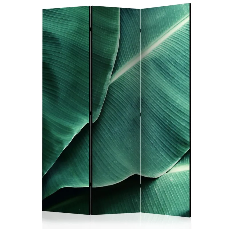 Artgeist Paraván - Banana Leaf [Room Dividers]