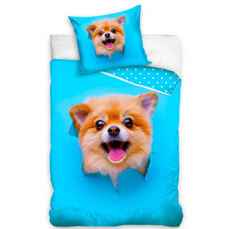 Pes Pomerian, 140x200/70x90 cm