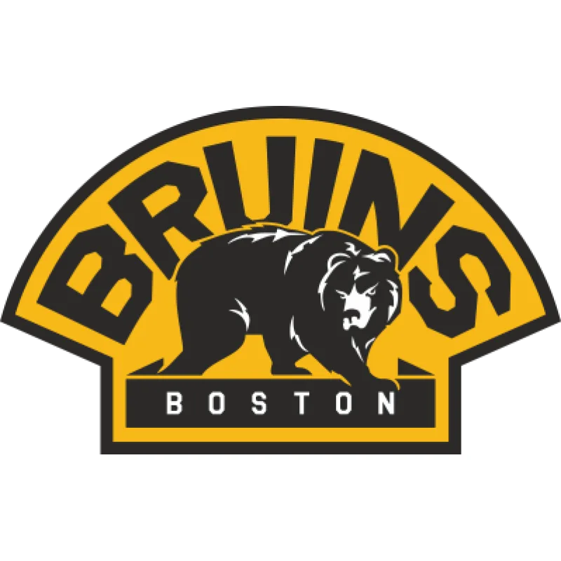 Boston Bruins nálepka - SKLADOM
